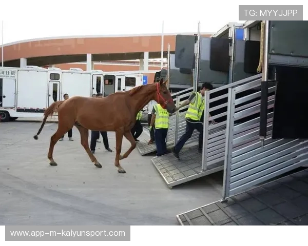 荷兰马术协会建立马匹基因数据库,促进马匹选育与训练。,荷兰马长什么样 荷兰马术协会建立马匹基因数据库,促进马匹选育与训练。,荷兰马长什么样